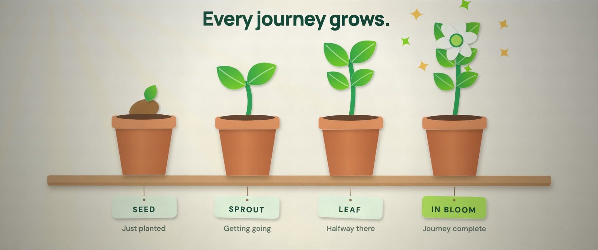 Still from the ScrollSprout film: four pots on a shelf, growing from seed to full bloom.